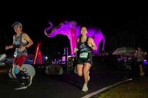 BIB: 
                            <button type="button" onclick="openModal(26543218)" class="btn btn-primary btn-sm float-right btn-popup" data-toggle="modal" data-target=".modal-high-quality">
                        <i class="fas fa-shopping-cart"></i> Add to Cart
                    </button>
                                            <button type="button" onclick="isThisMe(26543218, true)" class="btn btn-success btn-sm float-right btn-popup btn-isme hidden" data-toggle="tooltip" data-placement="bottom" title="นี่คือรูปของคุณใช่ไหม คลิกที่นี่เพื่อเอาเข้าอัลบั้ม">
                        <i class="fas fa-plus"></i> Add to album
                    </button>
                    <button type="button" onclick="isThisMe(26543218, false)" class="btn btn-warning btn-sm float-right btn-popup btn-isnotme hidden">
                        <i class="fas fa-ban"></i> Remove from album
                    </button>